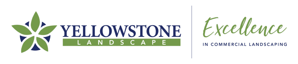 Yellowstone Landscape.png