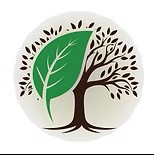 Il Salone Verde logo tree jpeg.jpeg